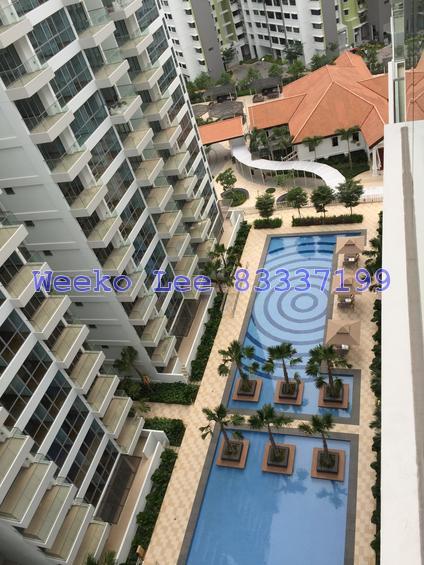 A Treasure Trove thumbnail photo